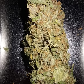 Monkey Banana strain