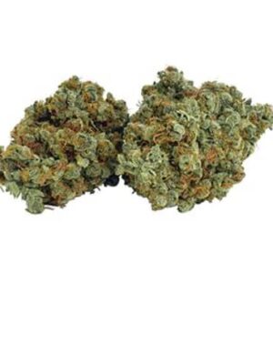 Galiano (Northern Lights Haze) weed strain