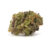 SATIVA WEED FOR SALE