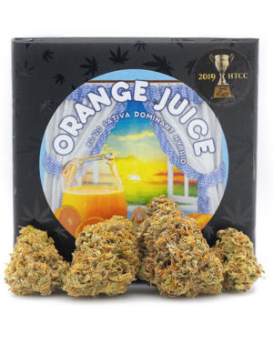 Orange Juice Marijuana Strain