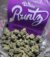 Buy White Runtz Online