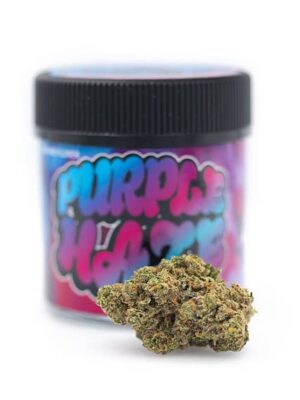 Purple Haze Strain