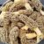 Buy Morel Mushrooms Online